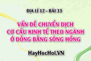 Vấn đề chuyển dịch cơ cấu kinh tế theo ngành ở Đồng bằng Sông Hồng - Địa lí 12 bài 33